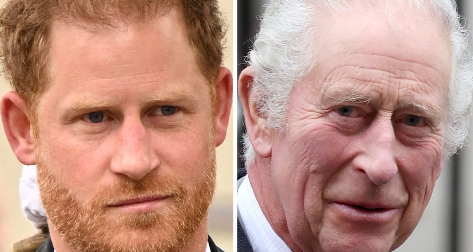 Prinz Harry und König Charles