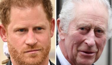 Prinz Harry und König Charles