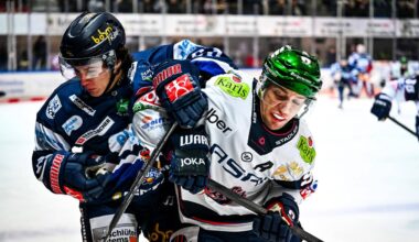 DEL: Iserlohn Roosters schlagen Eisbären Berlin