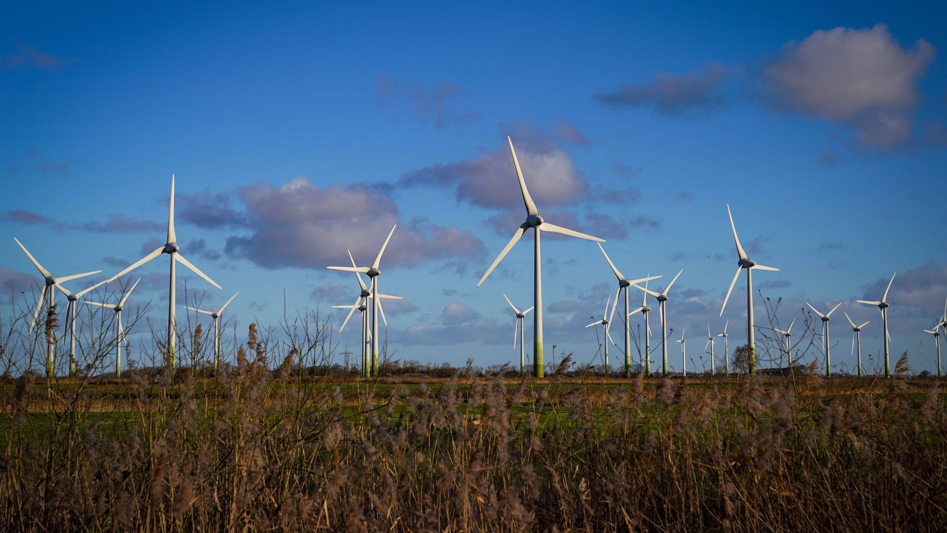 imago images 0844264289