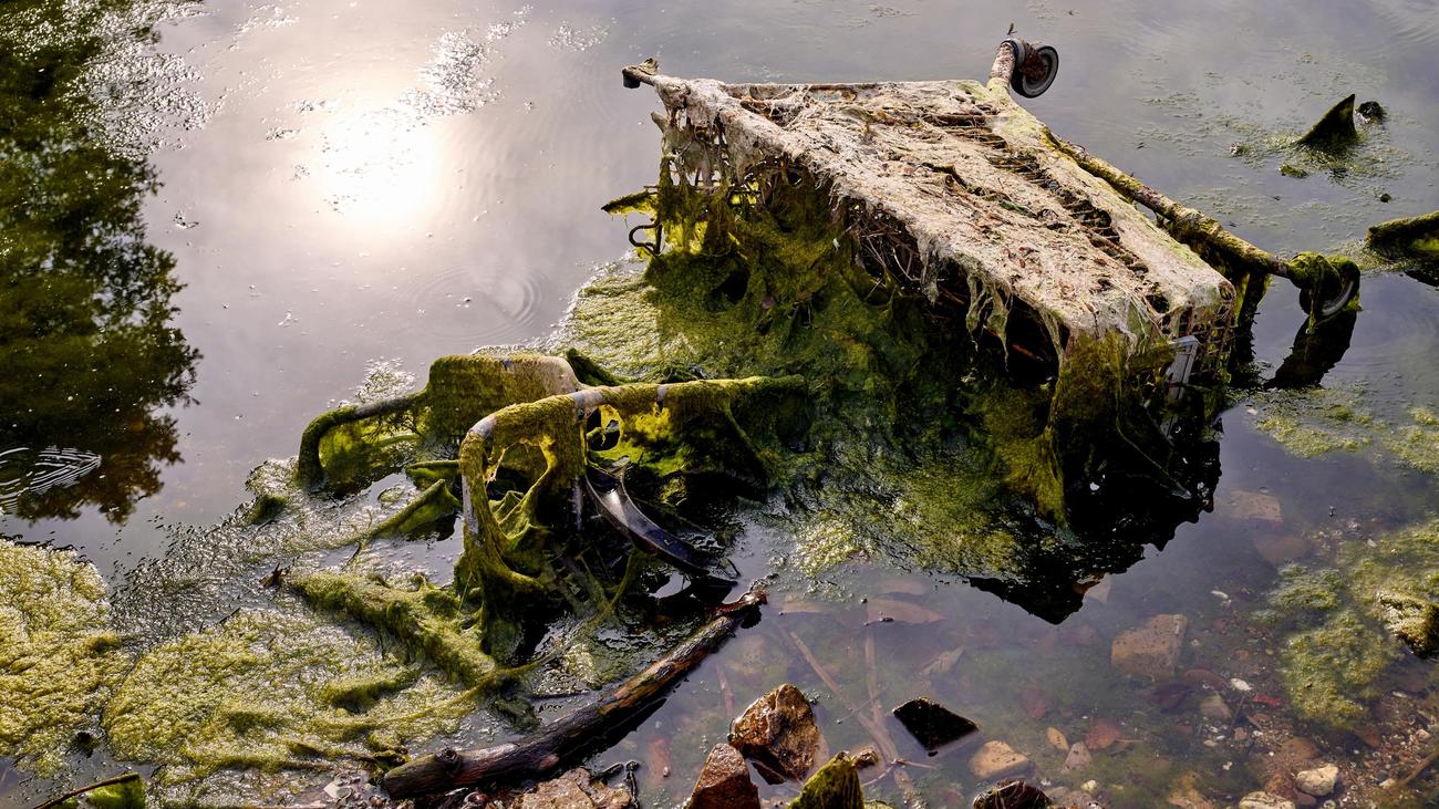 Müll: Forschende finden mehr Abfall im Rhein als bisher bekannt