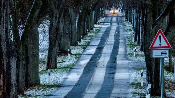 Ein Auto fährt durch eine winterliche Allee in MV.