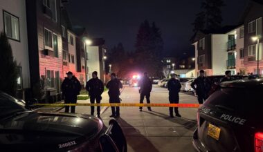 Portland: Bundesbeamte schießen in Portland auf zwei Menschen