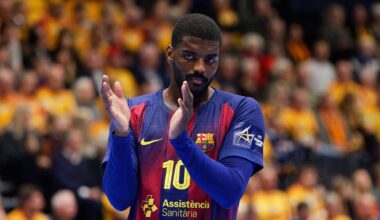 Füchse Berlin holen Weltklasse-Spieler Dika Mem