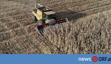 EU-Staaten für Mercosur: Berlin sieht „Signal der Handlungsfähigkeit“