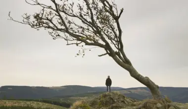 Einer der größten Skandalfilme von Lars von Trier