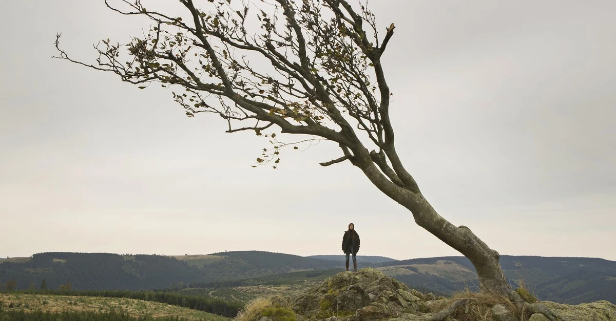 Einer der größten Skandalfilme von Lars von Trier