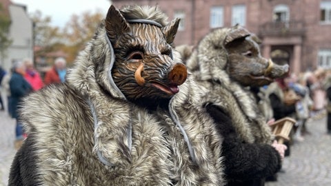 In Ettlingen feiern Närinnen und Narren am 11.11. den Beginn der Fastnachtszeit.