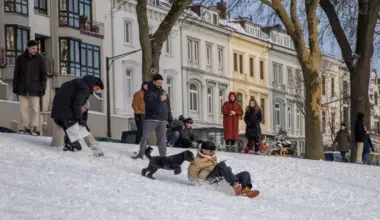 Bremer Osterdeich wird zur Rodelpiste: Bilder vom Sonnabend