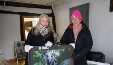 Drei Fotografen zeigen Bandbreite der zeitgenössischen Fotokunst