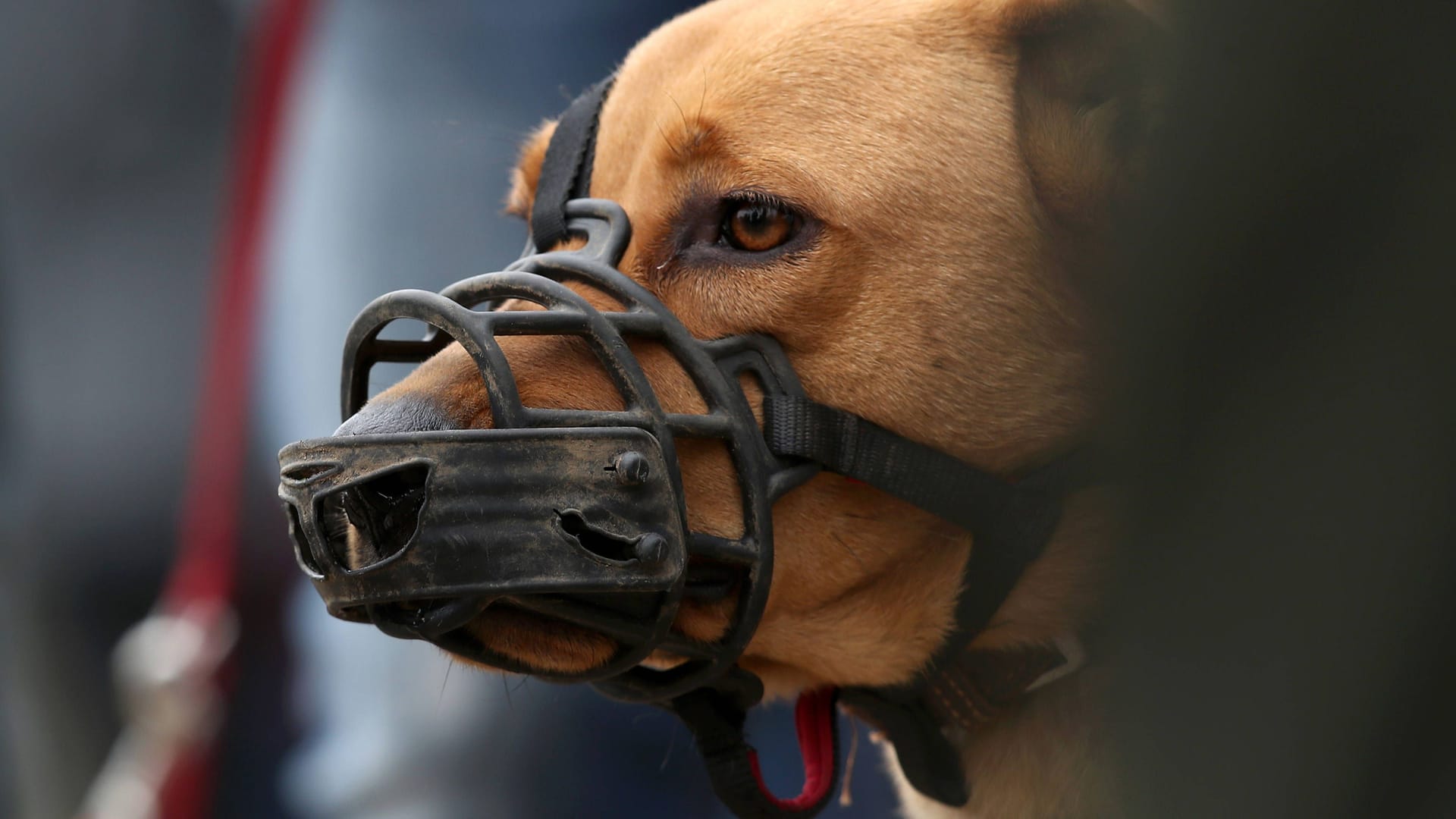 imago images 0241613113