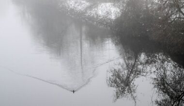 Erneut Glätte in Berlin und Brandenburg vorausgesagt