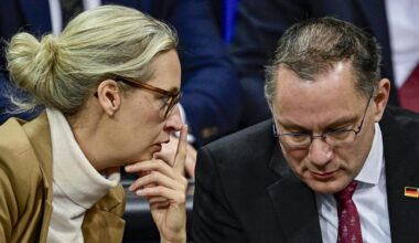 US-Republikaner: Jetzt wird Trump selbst der AfD suspekt