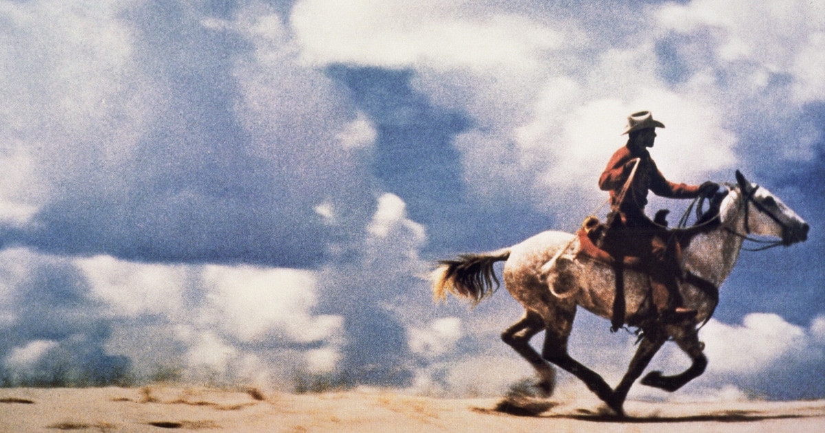 Albertina-Geburtstag - Ralph Gleis: „Wir lassen den Hasen aus dem Stall“ - Kronen Zeitung