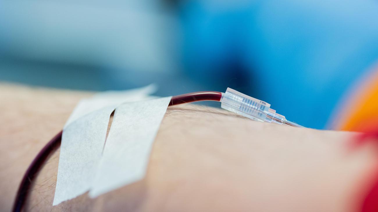 DRK-Blutspendedienst: Deutschlandweit fehlen laut Rotem Kreuz Blutspenden