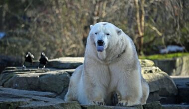 Statistik: Tierische Inventur im Zoo Hannover: 1.779 Tiere sind's