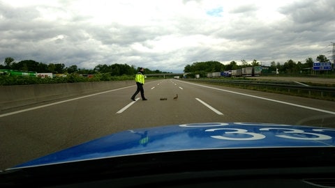 Foto: Urheber: Polizeipräsidium Offenburg, Verkehrspolizei, Dienstgruppe Autobahn © Polizei Baden-Württemberg