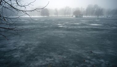 Wetterbericht: Nebelfelder über Berlin und Brandenburg