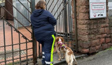 Notfälle: Vermisster Achtjähriger aus Frankfurt wohlbehalten gefunden
