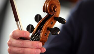 In Straßenbahn bei Dossenheim vergessen: Bratsche ist wieder da