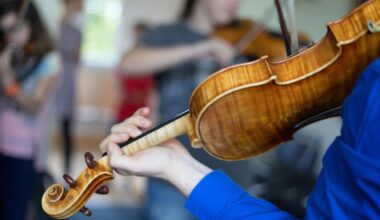 Verband fordert Mitsprache bei Reform des Musikschulgesetzes in Brandenburg