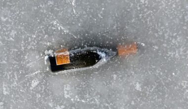 US-Zölle gegen Frankreich: Das könnte die schlimmste Weinkrise werden