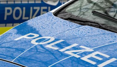 Mutmaßliche Unterstützer prorussischer Gruppen festgenommen