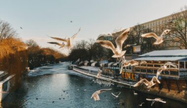 Maybachufer in Berlin: Das lässigste Ufer
