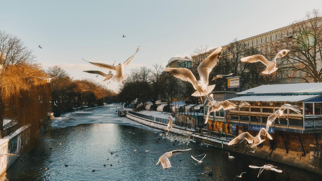 Maybachufer in Berlin: Das lässigste Ufer