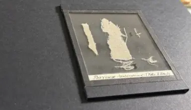 Teppich von Bayeux: Fragmente nach Frankreich zurückgegeben