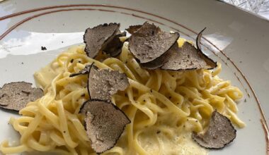 Süßes und Salziges: Trüffel-Festival in Berlin – Wissenswertes über den Edelpilz