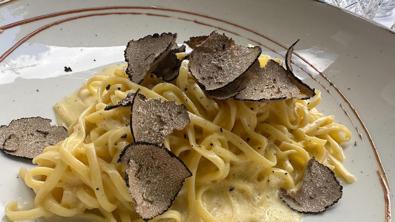 Süßes und Salziges: Trüffel-Festival in Berlin – Wissenswertes über den Edelpilz