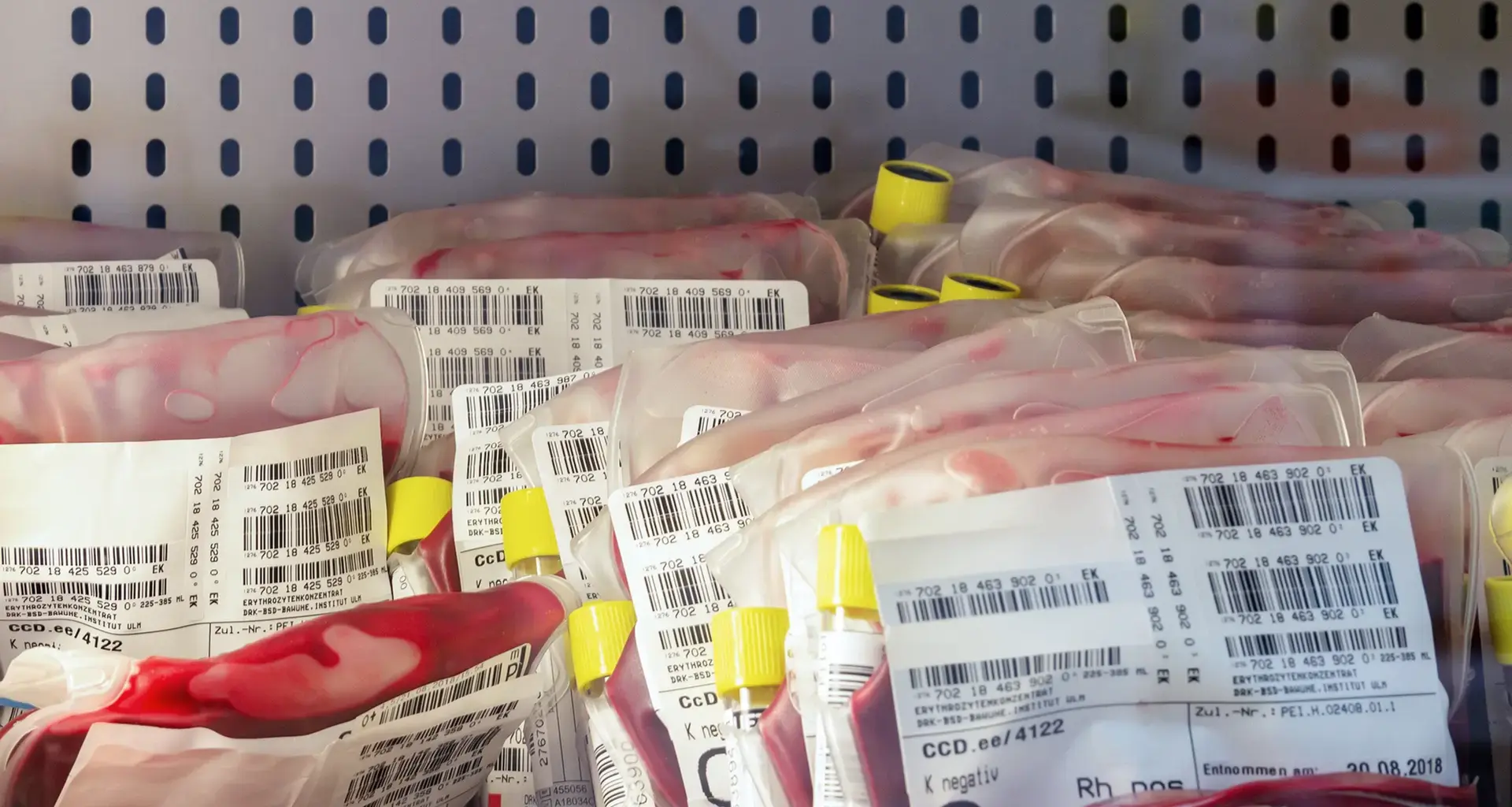 Nach Mangel an Reserven: Blutspendezentren melden hohen Andrang