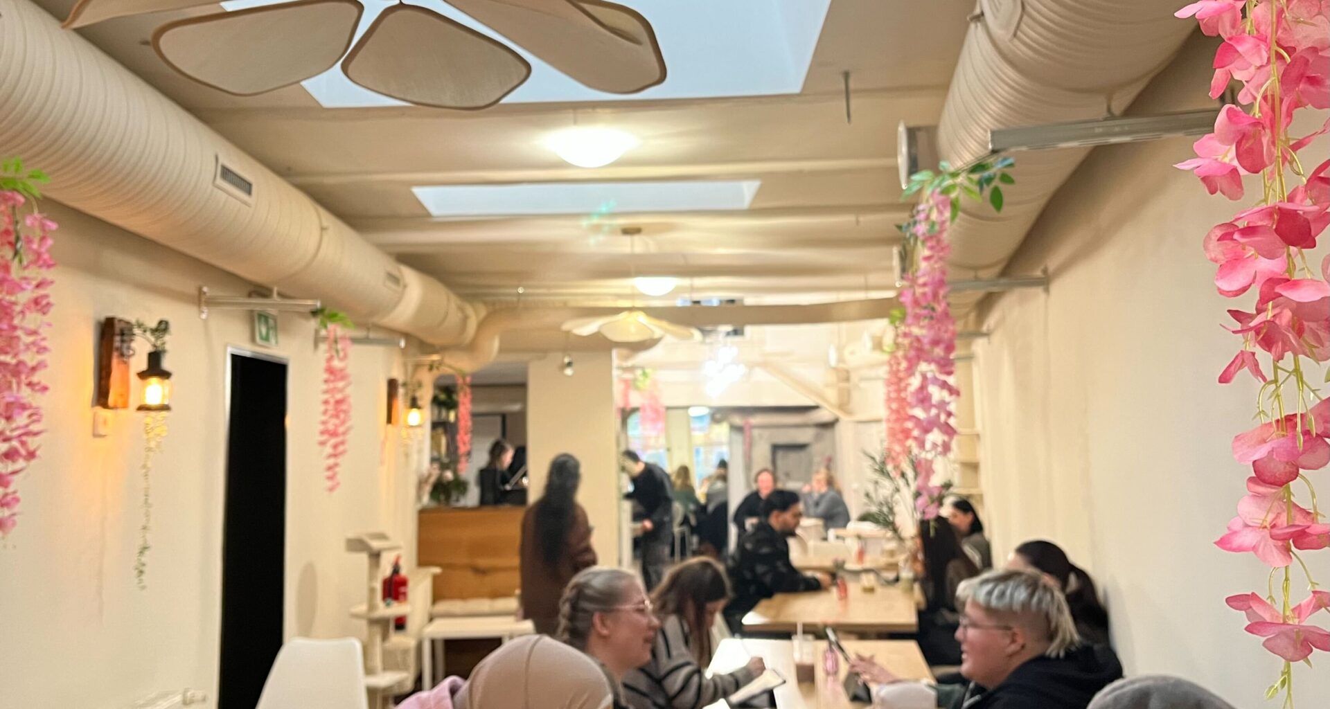 Das neue Katzencaf&eacute; von Innen.