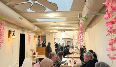 Das neue Katzencaf&eacute; von Innen.