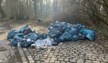 POL-E: Mülheim an der Ruhr: Überreste einer Cannabisplantage auf Parkplatz entsorgt ...