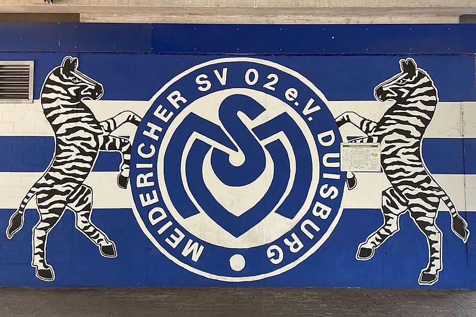 Alle MSV-News im Überblick 