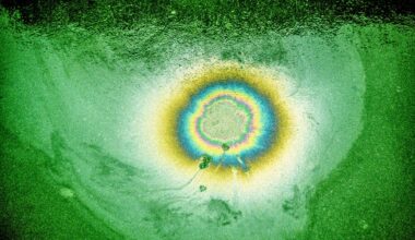 Fatih Birol: "Diesmal ist die Lage ausnahmsweise einmal super für Europa"