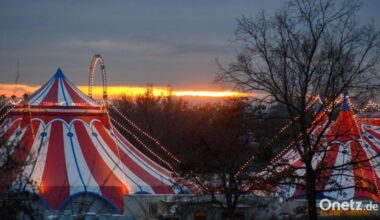 Urteil: Gericht legt Gema-Gebühren für Zirkus fest