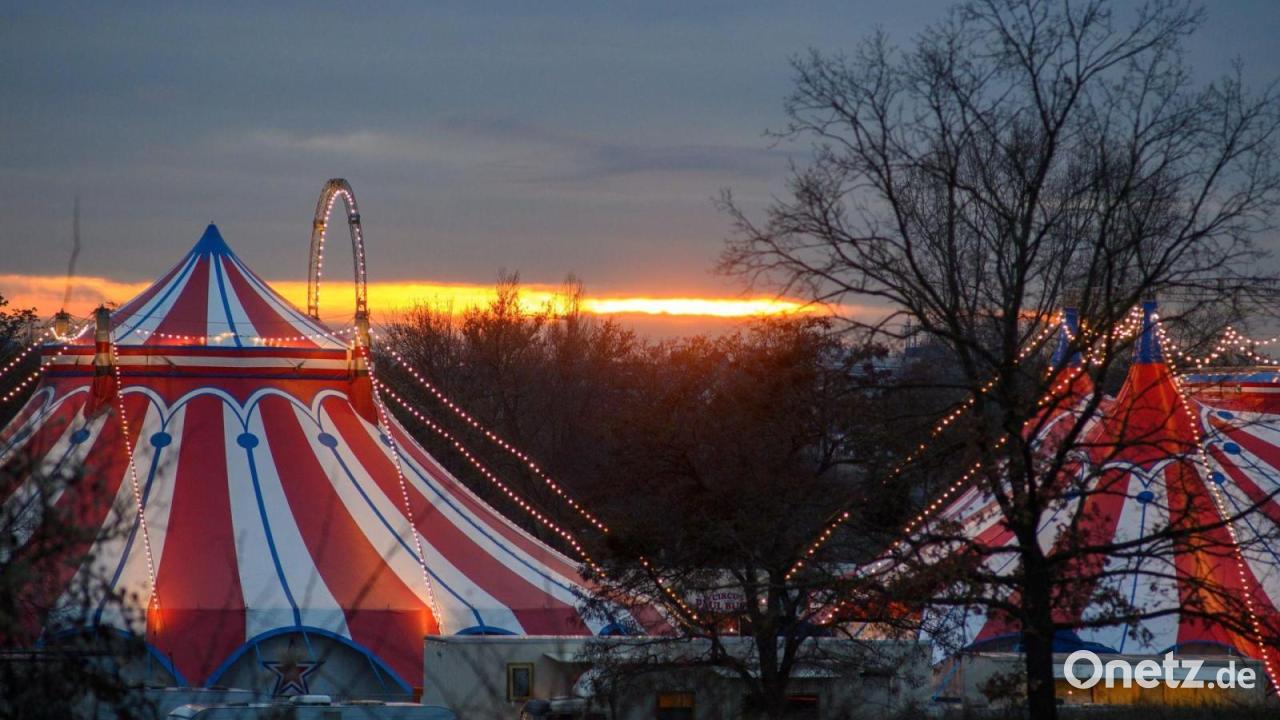 Urteil: Gericht legt Gema-Gebühren für Zirkus fest