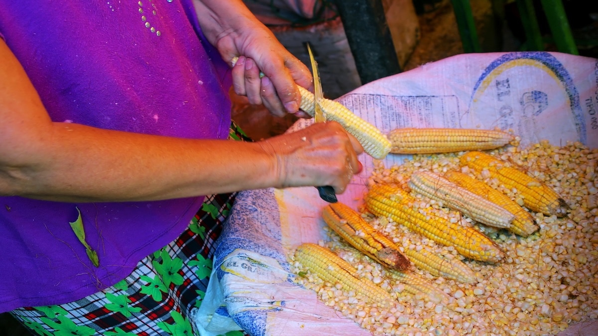 Eine Frau, die vor einem riesigen Maissack steht und diesen schält.