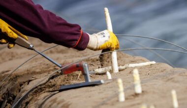 Antrag: CDU will Mindestlohn-Ausnahmen für Saisonarbeiter