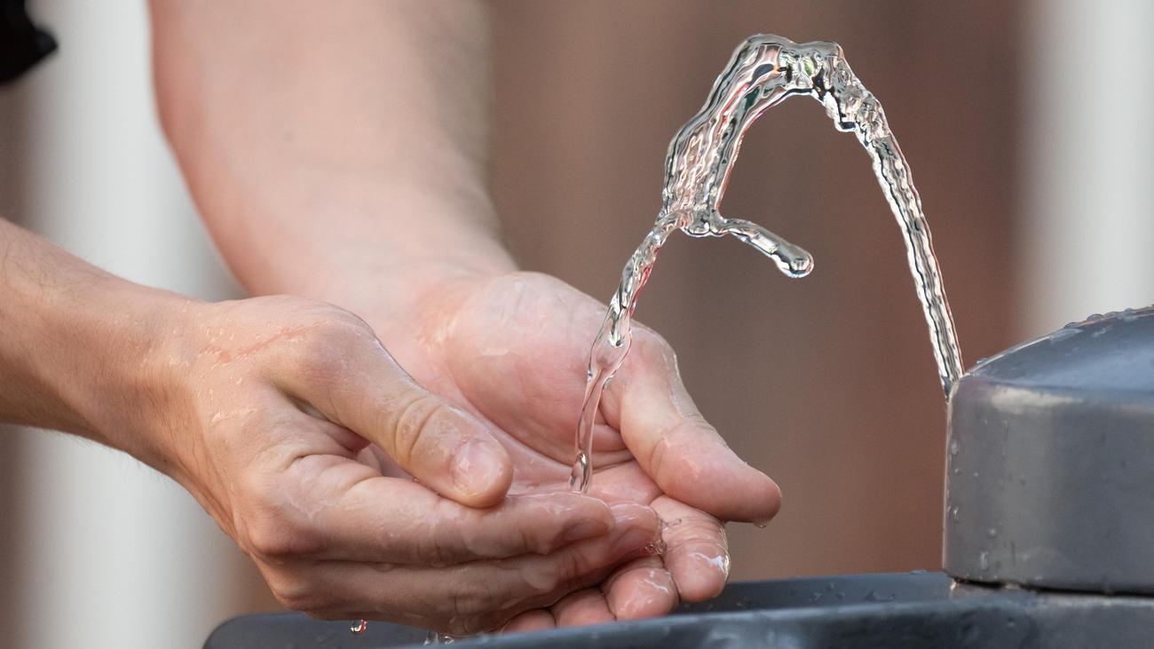 Elbvertiefung: Der tägliche Newsletter aus Hamburg: Wieso ein Hamburger namens Lionel anfing, Brunnen zu bauen