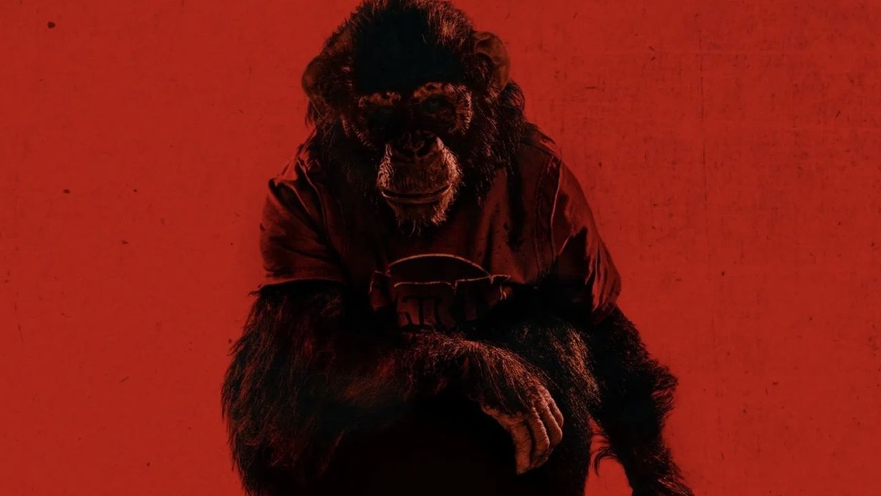 "Es war sofort absolut furchteinflößend": Wir sprechen mit dem "Primate"-Regisseur über Tierhorror und die Wucht von praktischen Effekten - Kino News