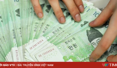 Während des Tet-Festes drängen sich „Musen“ an den Ufern des Hoan-Kiem-Sees, um Fotos zu machen.