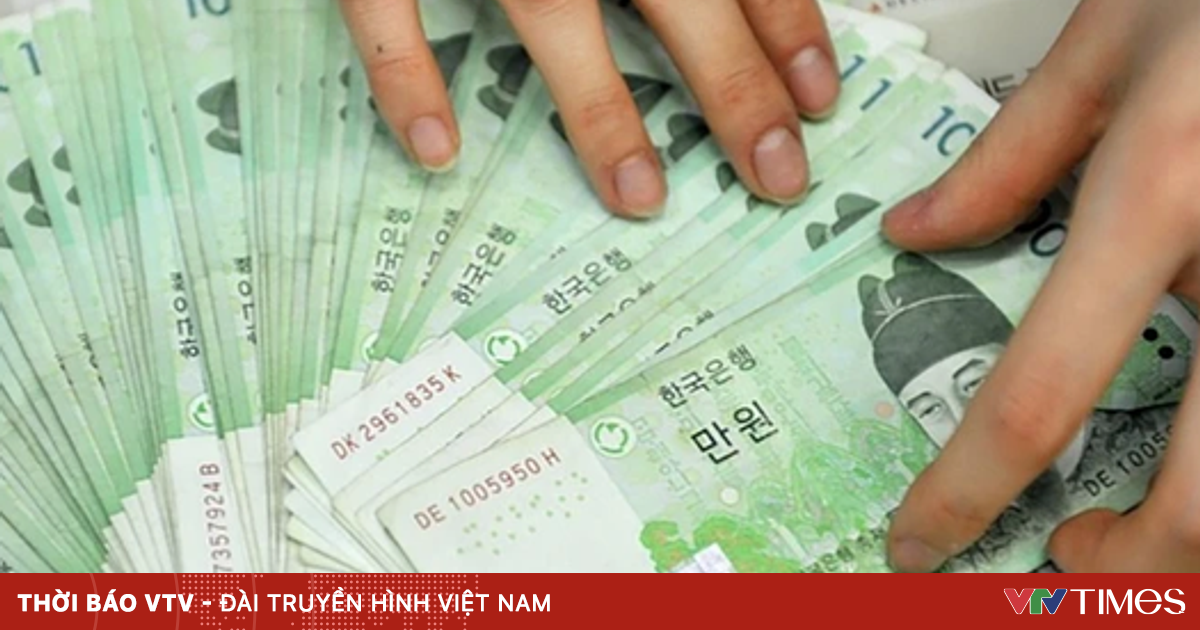 Während des Tet-Festes drängen sich „Musen“ an den Ufern des Hoan-Kiem-Sees, um Fotos zu machen.