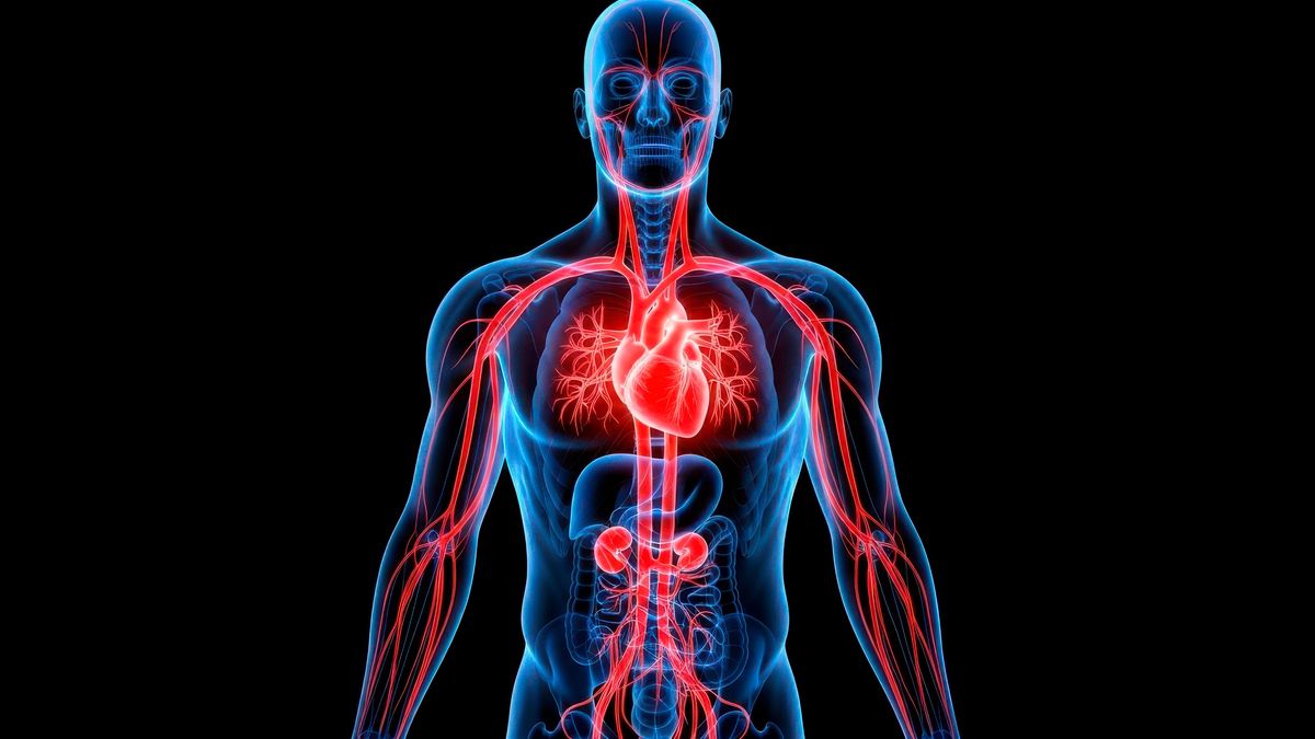 Wenn es um Komplikationen nach einer perkutanen Koronarintervention geht, stehen meist akute Blutungen z. B. durch eine Perforation im Fokus.