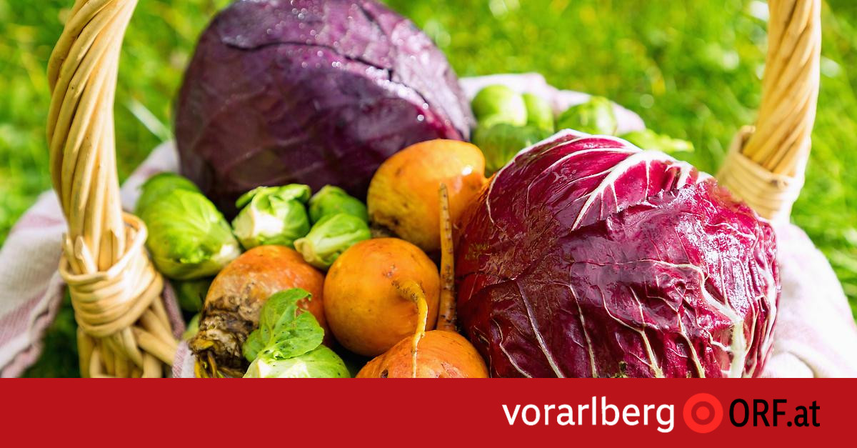 Knochenbrühe, Ballaststoffe und Tomatenmark - vorarlberg.ORF.at