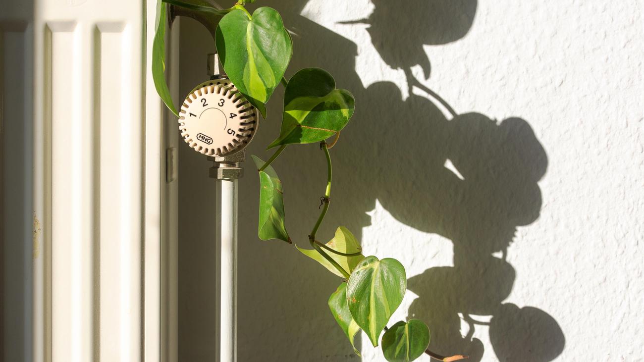 Verkauf von Heizungen: Heizungsindustrie meldet schwächsten Absatz seit 15 Jahren