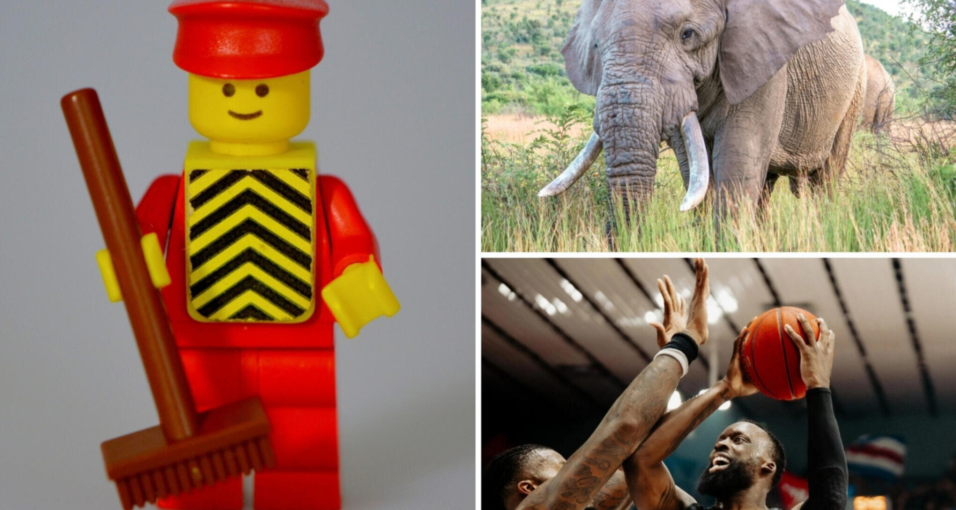 Das ist am Wochenende in Chemnitz los